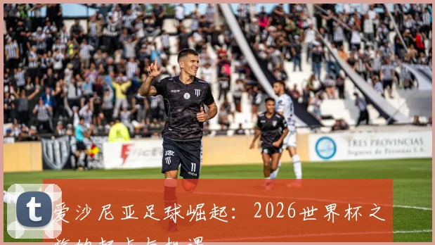 爱沙尼亚足球崛起:2026世界杯之旅的起点与机遇