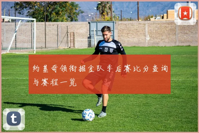 约基奇领衔掘金队季后赛比分查询与赛程一览